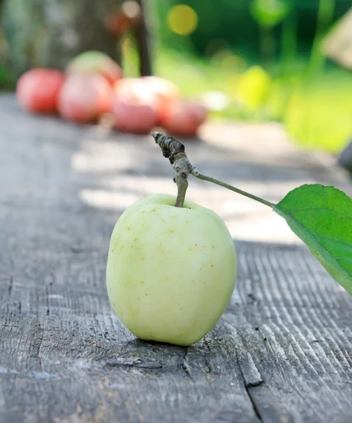 Manzanas frescas en el jardín —  Fotos de Stock