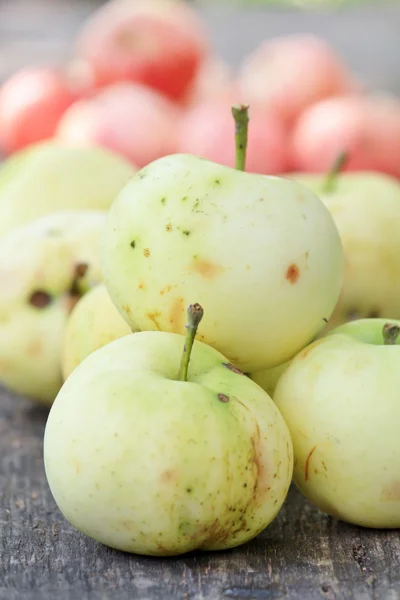 Fresh apples in the garden — Stock Photo, Image