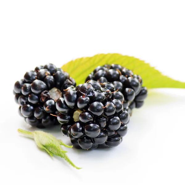 Dewberries (blackberries) and green leaves — Stock Photo, Image