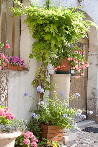 Ładny ogród z kwiatami — Zdjęcie stockowe