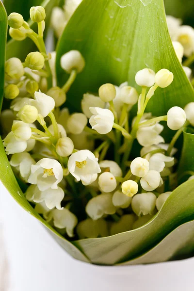 Lily-of-the-valley flowers — Stock Photo, Image