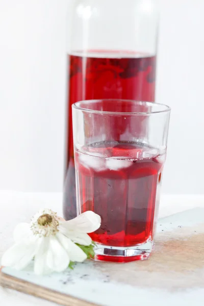 Herbata hibiskus lato — Zdjęcie stockowe