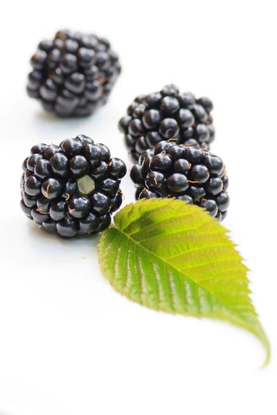 Dewberries (βατόμουρα) και πράσινα φύλλα — Φωτογραφία Αρχείου