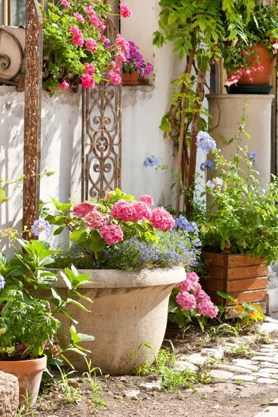 Красивый двор с цветами — стоковое фото
