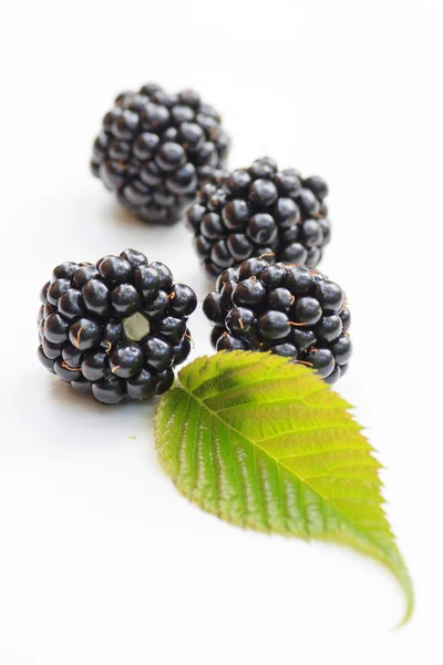 Dewberries (βατόμουρα) και πράσινα φύλλα — Φωτογραφία Αρχείου