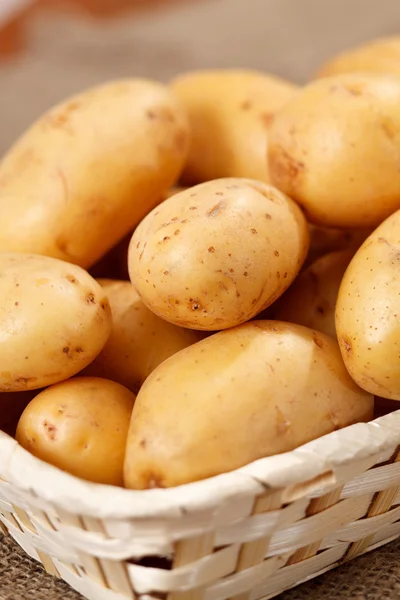 Verse aardappelen — Stockfoto