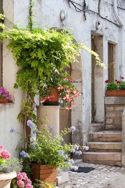 Nice yard with flowers — Stock Photo, Image