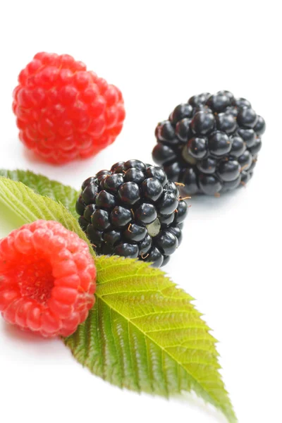 Berry fruits — Stock Photo, Image