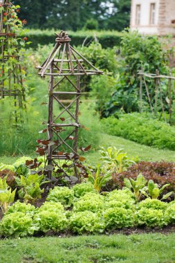 Vegetable garden clipart