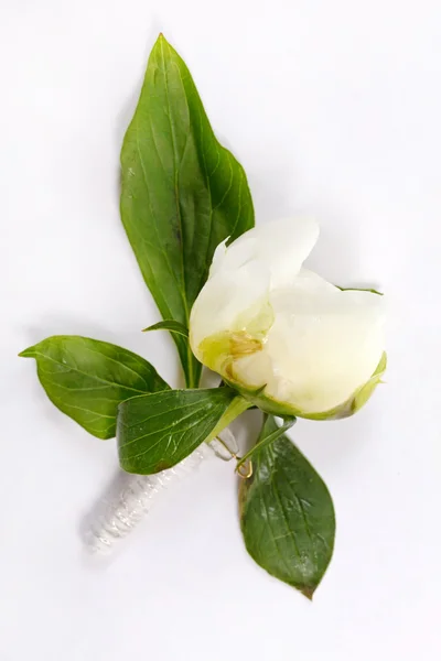 Bouquet posy — Photo