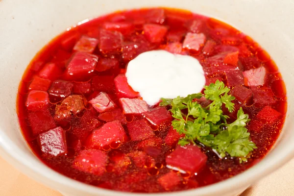 stock image Russian cuisine. Borscht