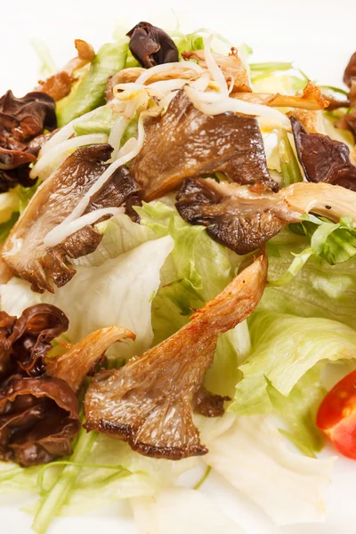 Aziatische salade — Stockfoto
