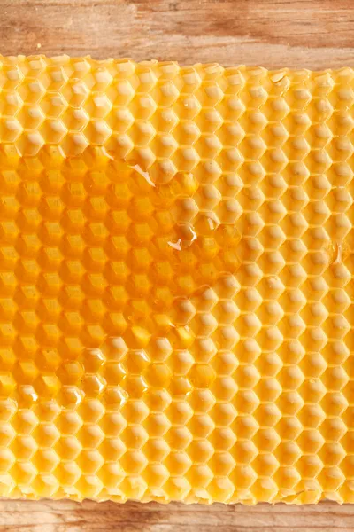 Φρέσκο μέλι στην χτένα — Φωτογραφία Αρχείου