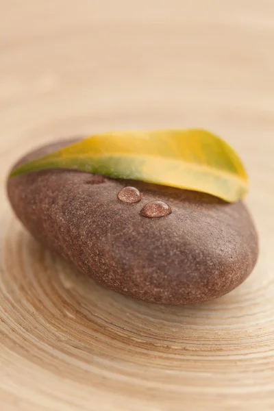 Geel blad op de steen — Stockfoto