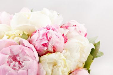 Rich bunch of peonies clipart