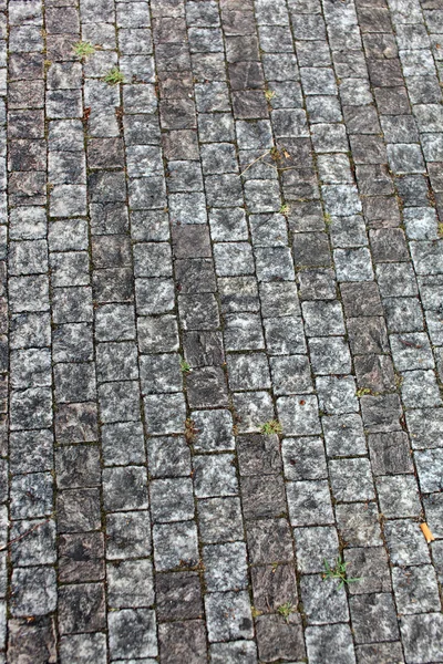 Cobbled road — Stock Photo, Image