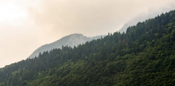 Vedere scenică a munților — Fotografie, imagine de stoc