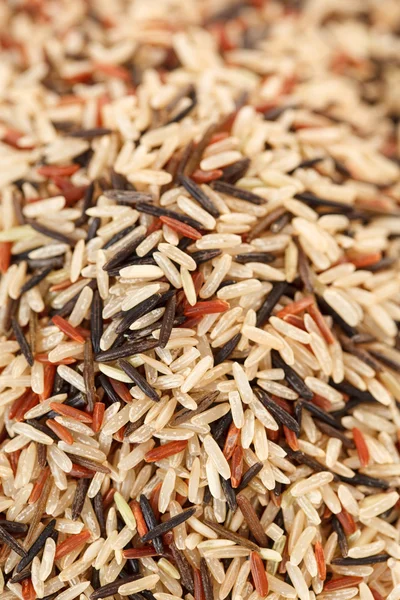 Variety of rice — Stock Photo, Image