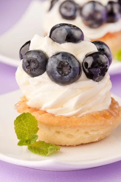 stock image Fresh fruit tart