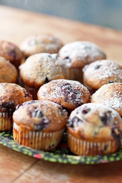 Muffins de mirtilos — Fotografia de Stock