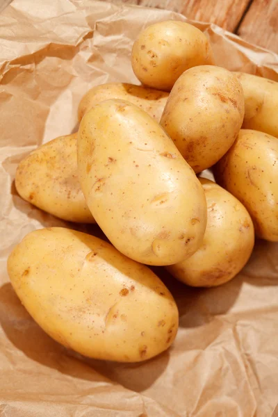Färsk potatis — Stockfoto