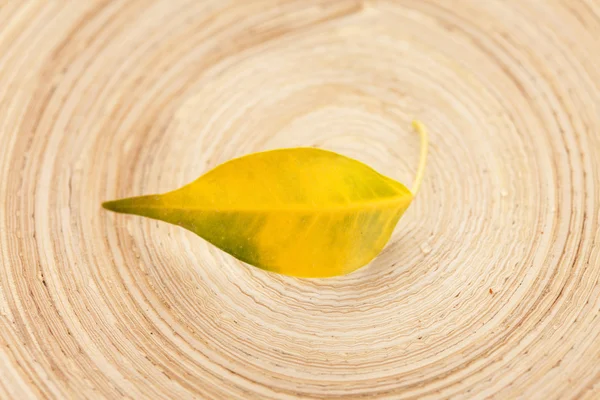 stock image Yellow leaf on the wood texture