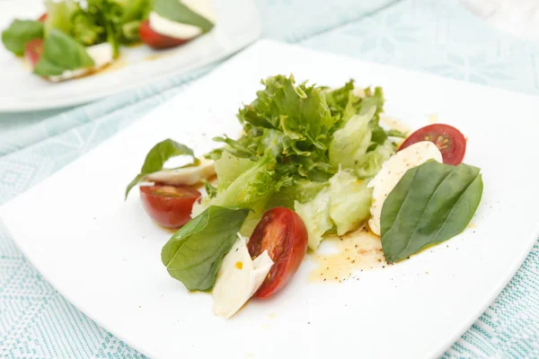 Salad with mozzarella, tomatoes and basil — Stock Photo, Image