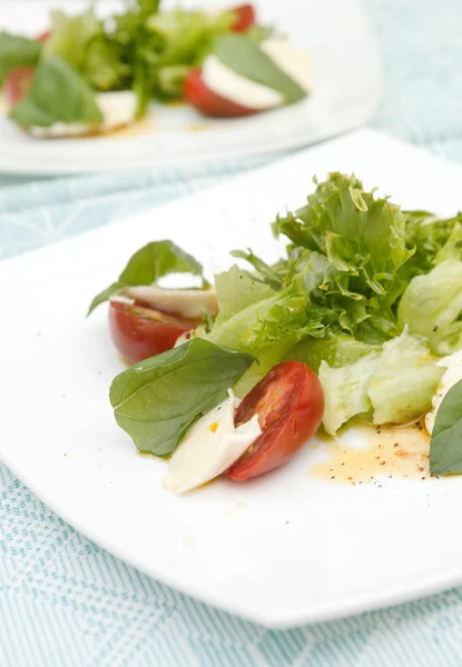 Салат с моцареллой, помидорами и базиликом — стоковое фото