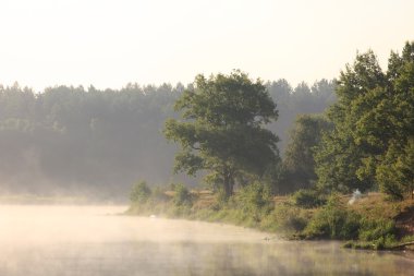 bir nehir bir sisli sabahı