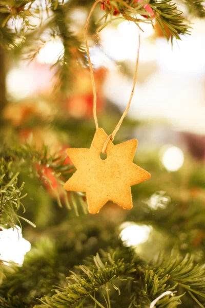 Biscuits sur l'arbre de Noël — Photo