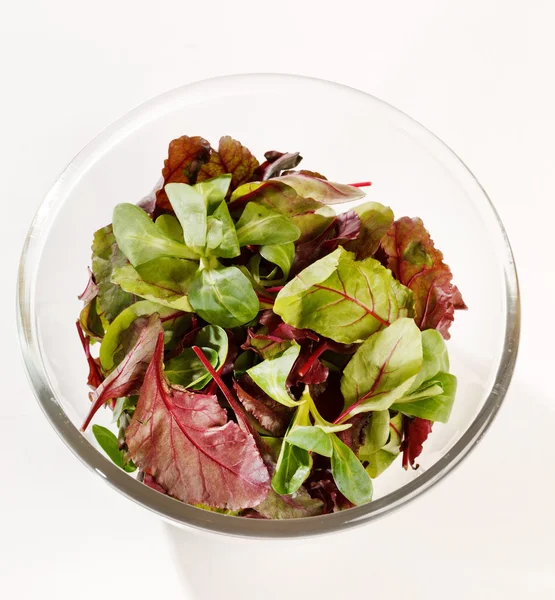 Čerstvý salát — Stock fotografie