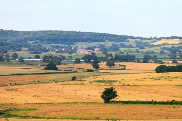 Câmpuri de grâu — Fotografie, imagine de stoc