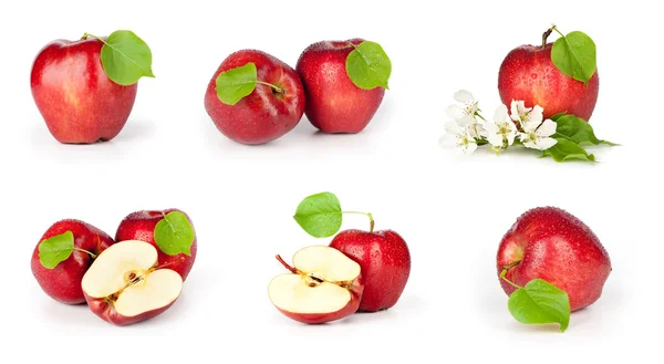 Czerwone jabłka na białym tle zestaw — Zdjęcie stockowe