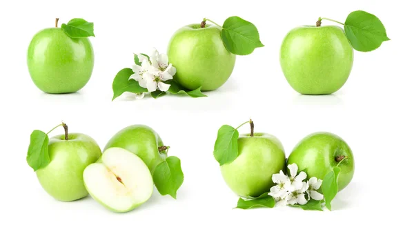 Зеленые яблоки на белом фоне — стоковое фото