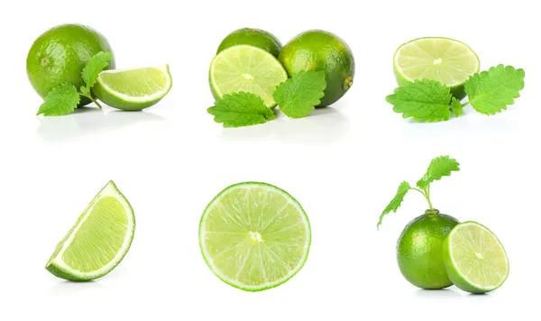 Lime és menta-fehér alapon — Stock Fotó