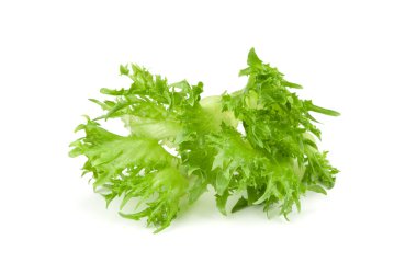 Leaf of fresh salad clipart