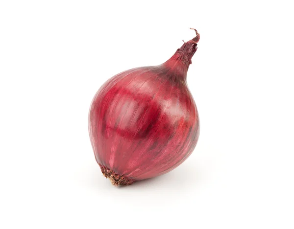 Κόκκινο κρεμμύδι — Φωτογραφία Αρχείου