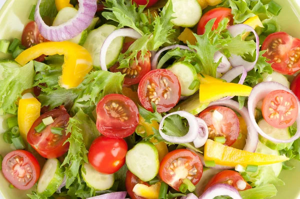 Salada vegetal close-up — Fotografia de Stock