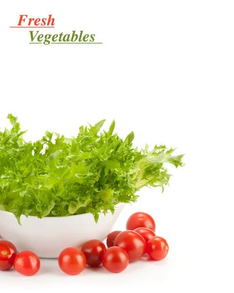 Salad leaf with tomatoes — Stock Photo, Image