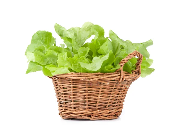Salatblader – stockfoto