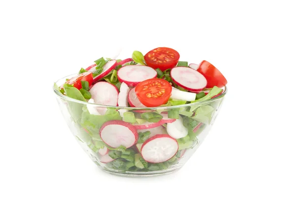 Salade van verse radijs — Stockfoto