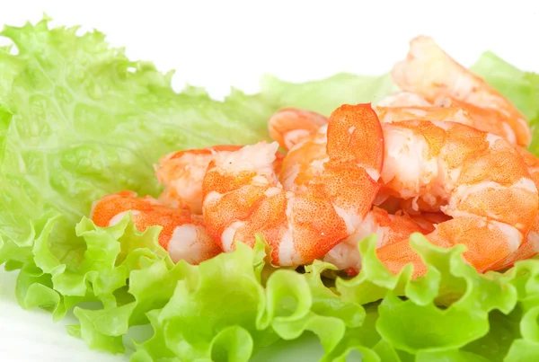 Green salad with shrimps — Stock Photo, Image