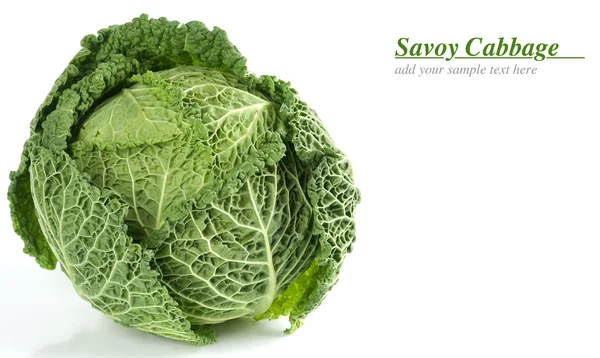 Savoy cabbage — Stock Photo, Image