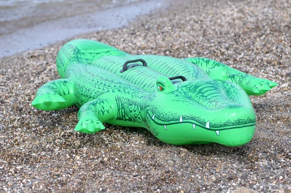 Coccodrillo verde galleggiante in acqua — Foto Stock