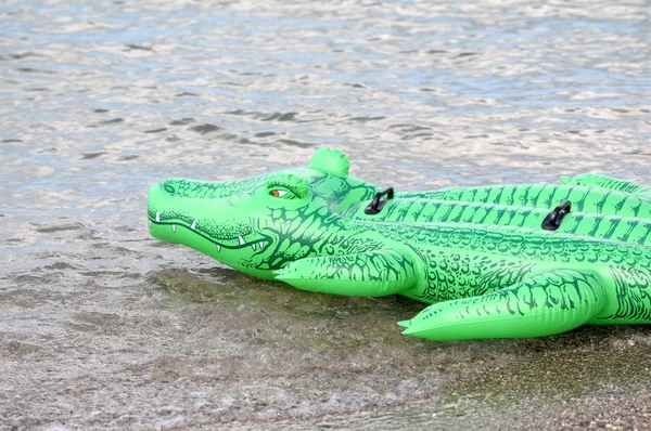 Coccodrillo verde galleggiante in acqua — Foto Stock