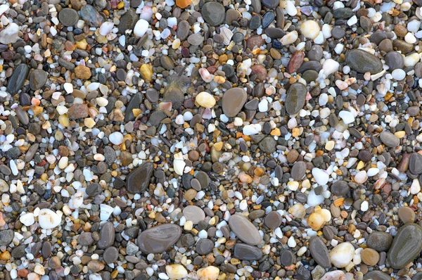Mořské kameny jako pozadí — Stock fotografie