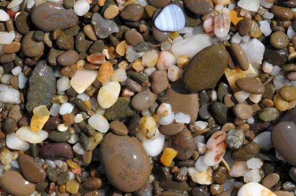 Mořské kameny jako pozadí — Stock fotografie