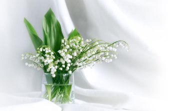 Lily Of The Valley clipart