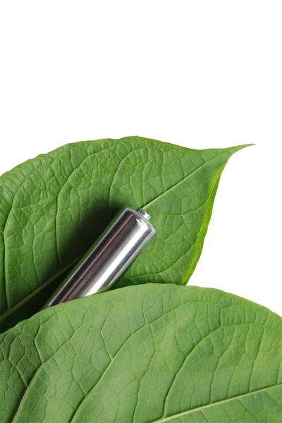 stock image Battery And Leaves