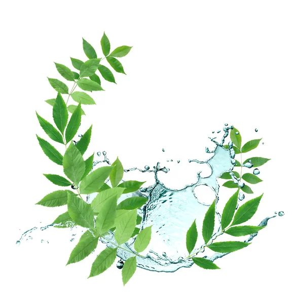 Leaves And Water — Stock Photo, Image